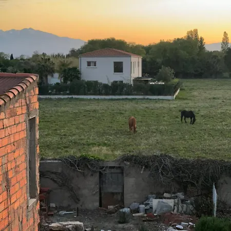 La Casita *